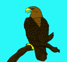 Dibujo Águila en una rama pintado por muriel