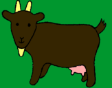 Dibujo Cabra pintado por anitawapa