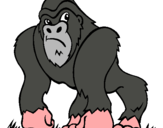 Dibujo Gorila pintado por ferrus