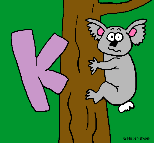 Koala