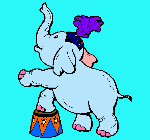 Elefante