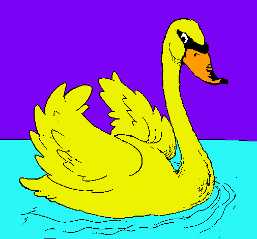 Cisne en el agua