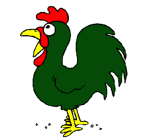 Gallo de granja