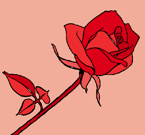 Dibujo Rosa pintado por antoniab