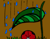 Dibujo Mariquita protegida de la lluvia pintado por osita16
