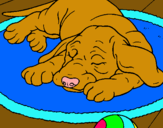 Dibujo Perro durmiendo pintado por naomipeque