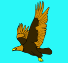 Dibujo Águila volando pintado por muriel