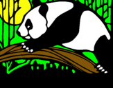 Dibujo Oso panda comiendo pintado por emouuryhdyhe