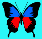 Dibujo Mariposa con alas negras pintado por sheylin