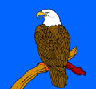 Dibujo Águila en una rama pintado por ROMAN45