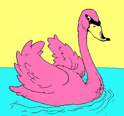 Cisne en el agua