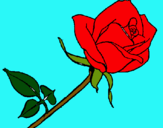 Dibujo Rosa pintado por Ricardito