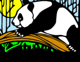 Dibujo Oso panda comiendo pintado por trevor