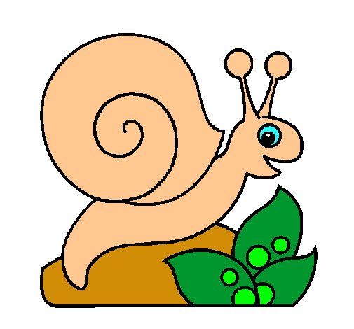 Caracol