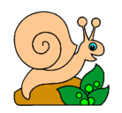 Dibujo Caracol pintado por jezzyk