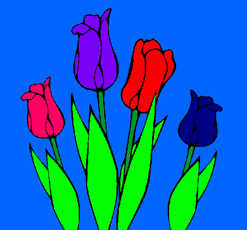 Tulipanes