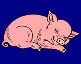 Dibujo Cerdo durmiendo pintado por luzithaa 