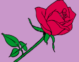 Dibujo Rosa pintado por divinaXD