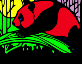 Dibujo Oso panda comiendo pintado por ewytdugdu 