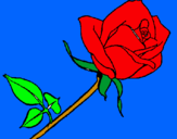 Dibujo Rosa pintado por z