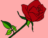 Dibujo Rosa pintado por nathal