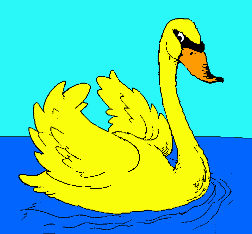 Cisne en el agua