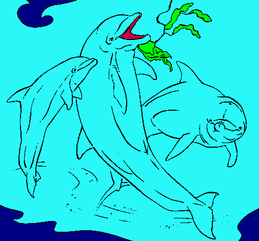Dibujo Delfines jugando pintado por amey