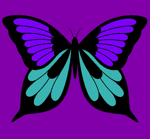 Mariposa 8