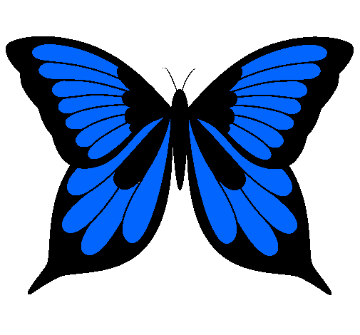 Mariposa