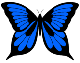 Dibujo Mariposa pintado por manuelyair