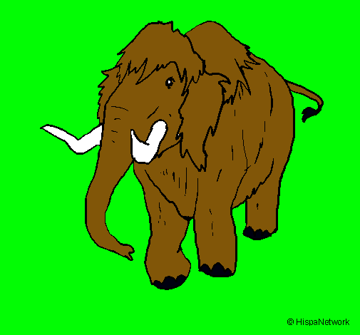 Mamut II