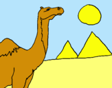 Dibujo Camello pintado por marios