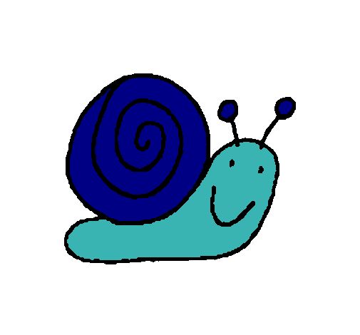 Caracol 4