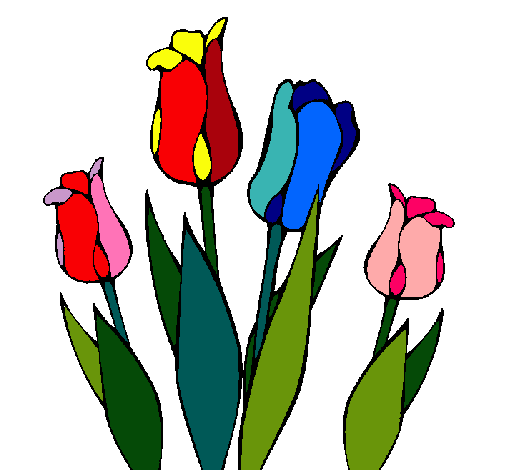 Tulipanes