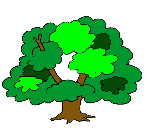 Árbol