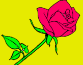 Dibujo Rosa pintado por pilar06