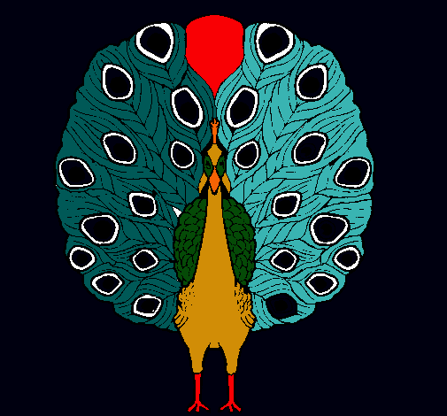 Pavo real