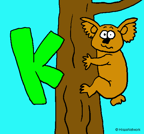 Koala