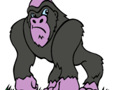 Dibujo Gorila pintado por alejo8090