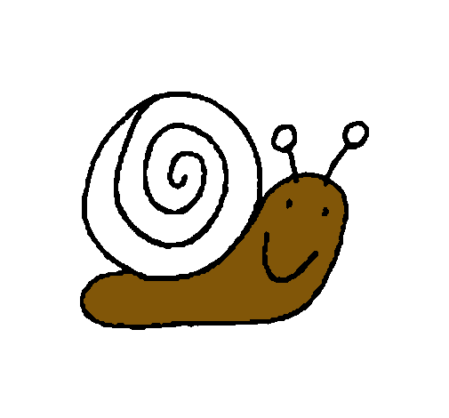 Caracol 4