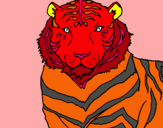 Dibujo Tigre pintado por uyhgt