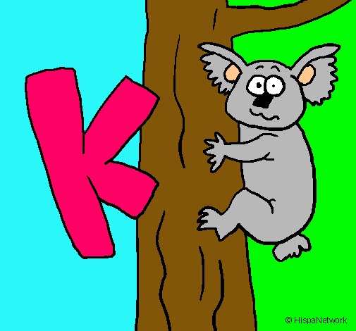 Koala