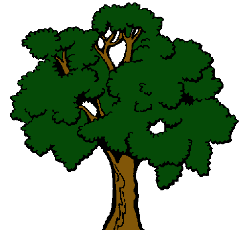 Árbol