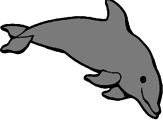 Dibujo Delfín contento pintado por amairani