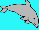 Dibujo Delfín contento pintado por jkhjdfthjgjh