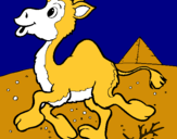 Dibujo Camello pintado por vicentea