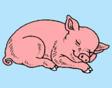 Dibujo Cerdo durmiendo pintado por abrilin