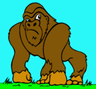 Dibujo Gorila pintado por ghjnmiop