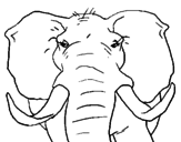 Dibujo Elefante africano pintado por a5451