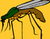 Dibujo Mosquito pintado por rewwrre